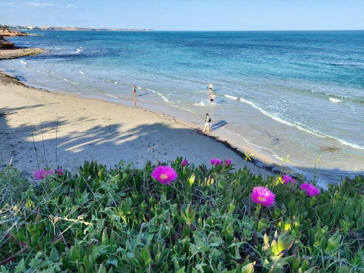 El De Papa - Mil Palmeras Dehesa de Campoamor (Orihuela Costa)